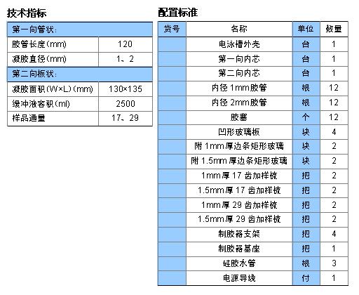 双向电泳
