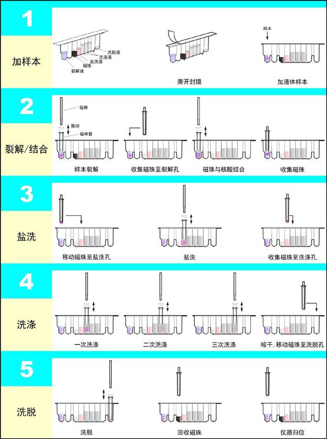 全自动核酸提取仪